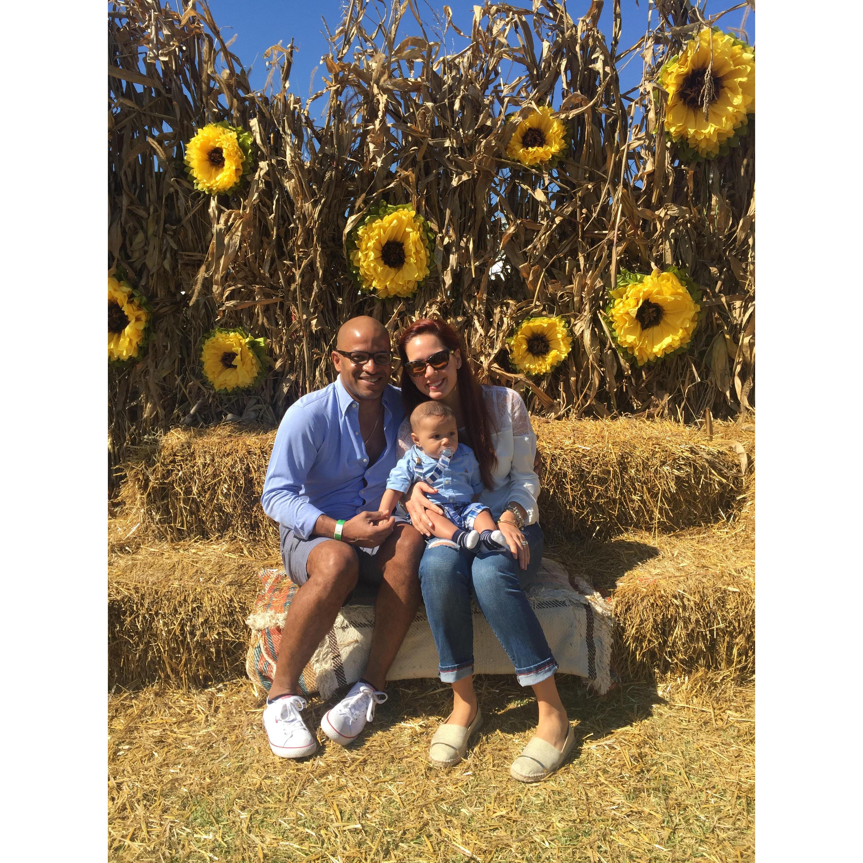 Pumpkin festival..