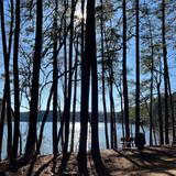 Lake Johnson