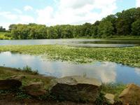 Rockefeller State Park Preserve