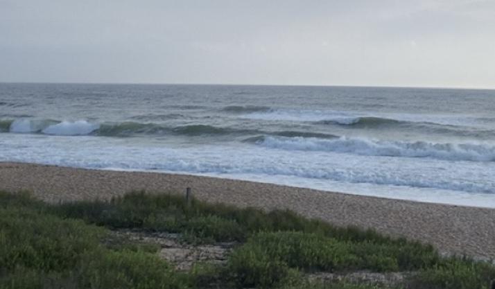 The Wedding Website of Alexis Loren Witwer and Justin Skyler Walker