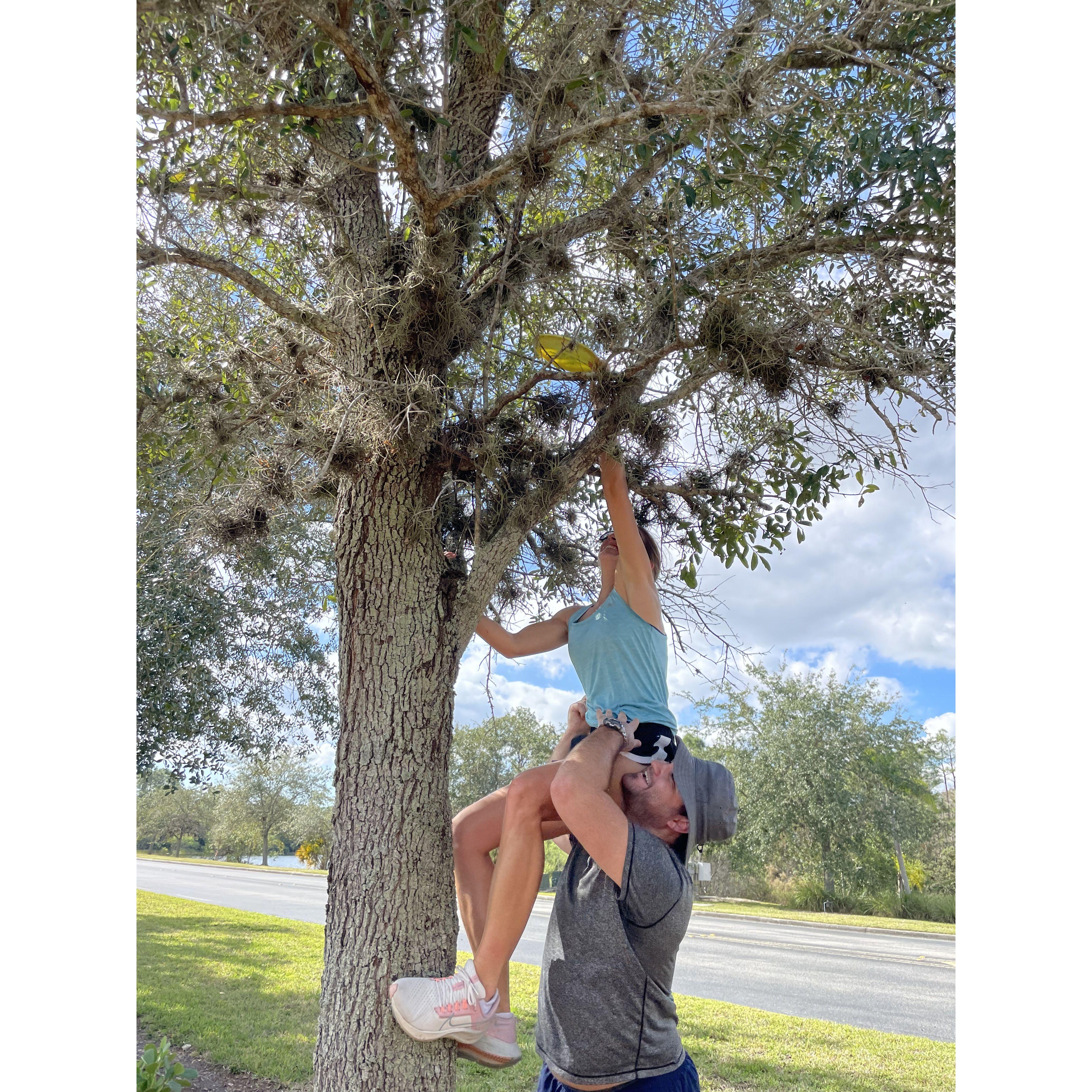 We’ve played a lot of rounds of disc golf, and usually someone’s (Nicole’s) disc ends up where it isn’t supposed to be…