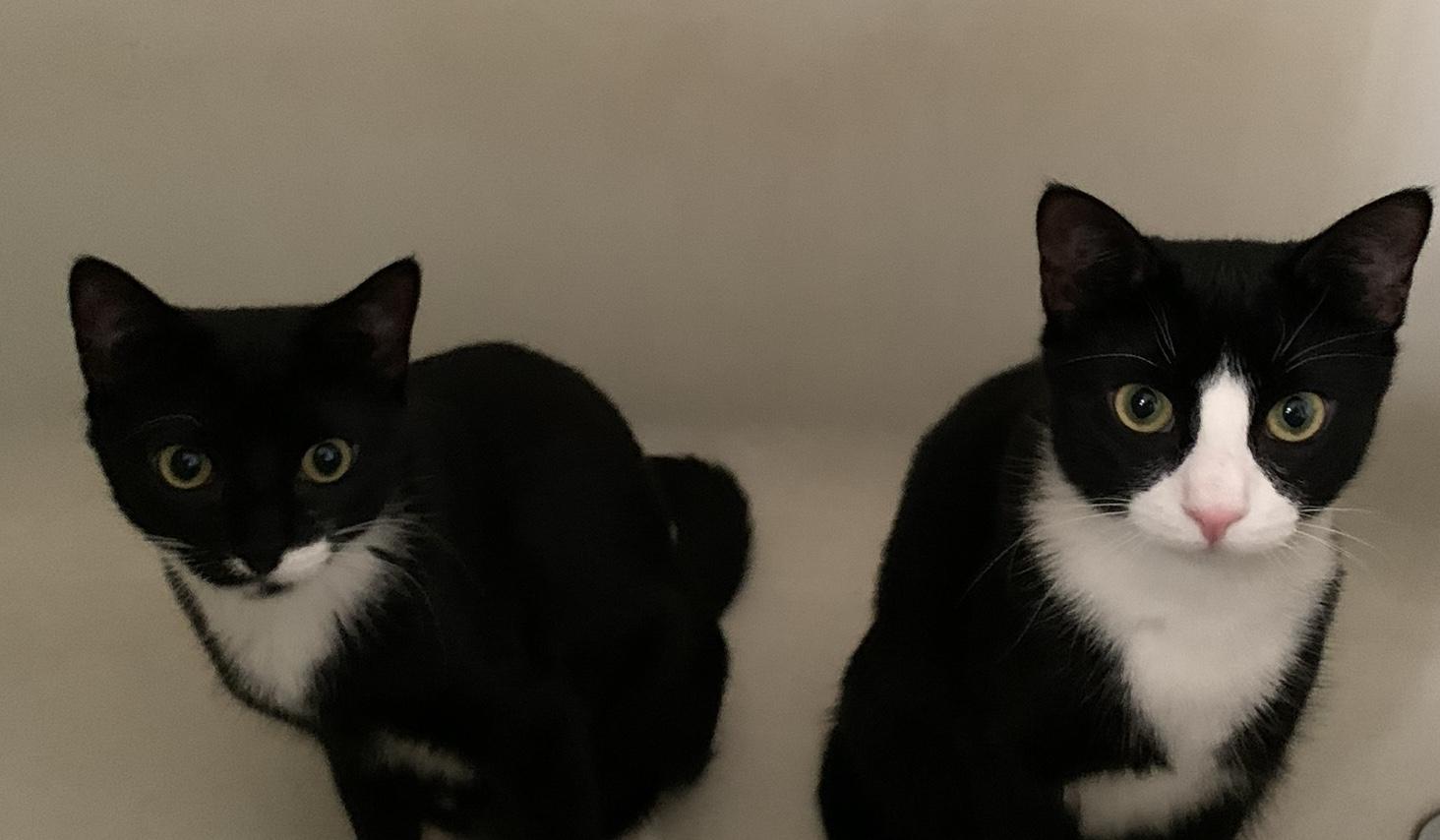 The Wedding Website of Jaquelin Flores and Corey Jurs