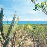 Guanica State Forest