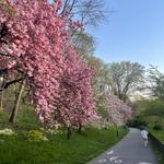 Riverside Park