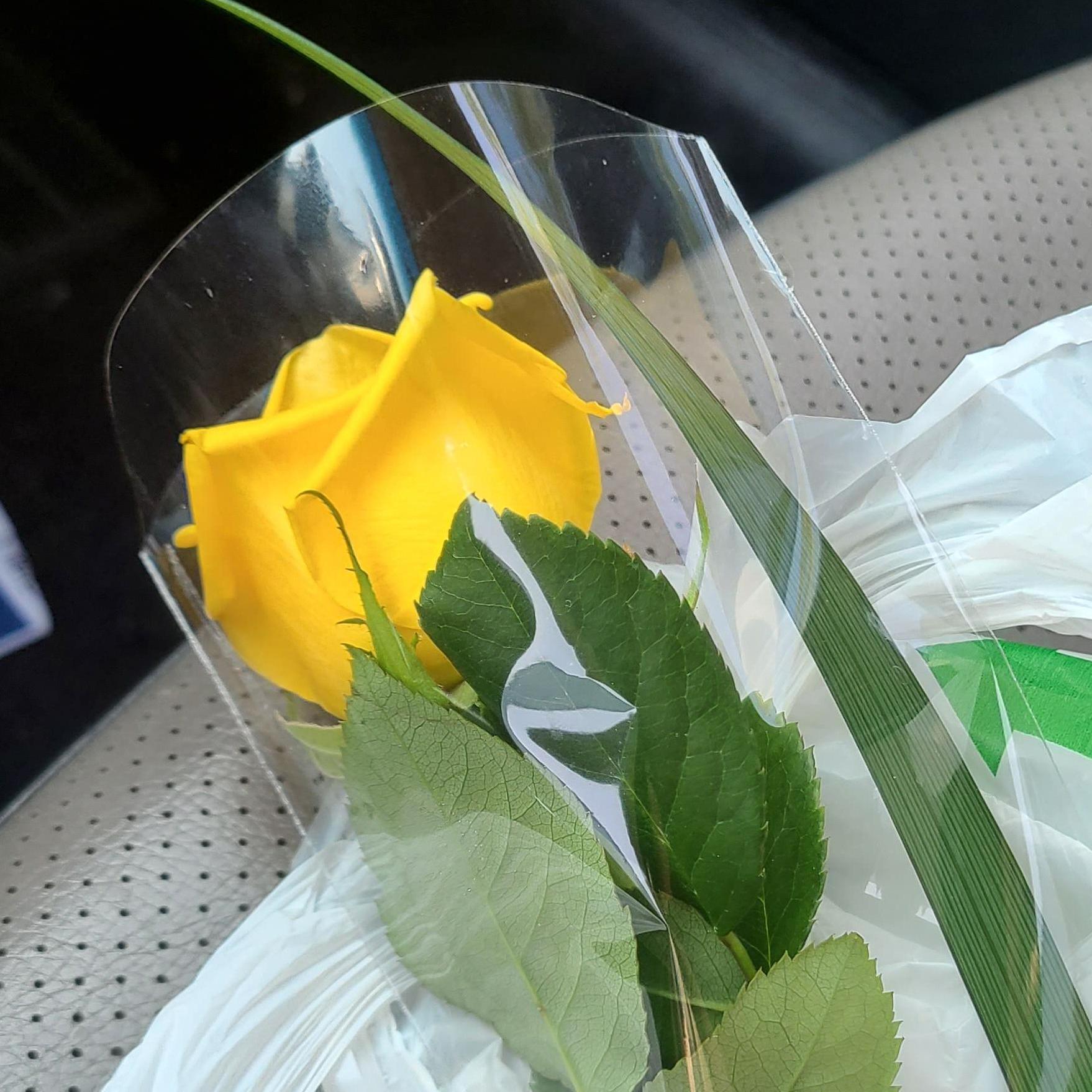 Amanda was quite proud of herself for being so romantic and for randomly having got Hanse a flower one day - turns out he proposed that night.