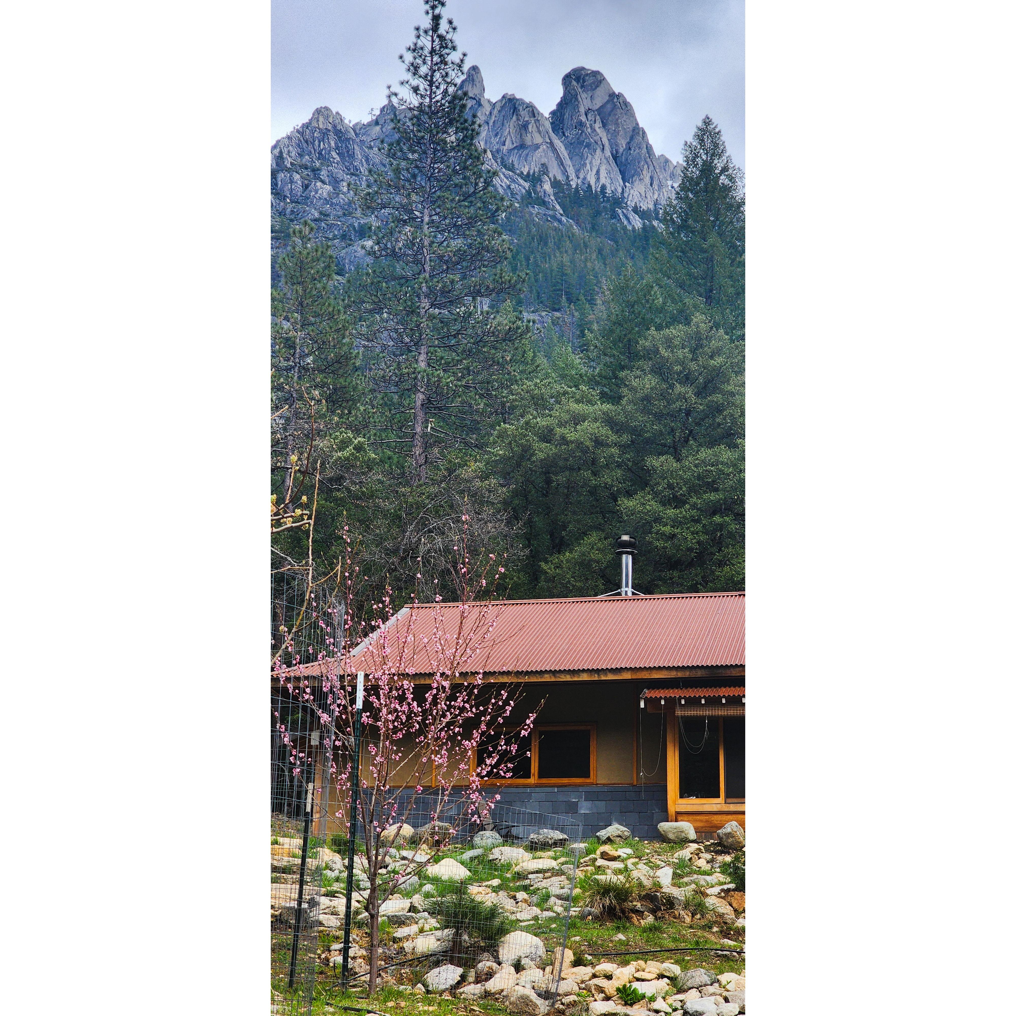 Logan's parents house. Hand built by her father, in the style of traditional japense carpentry and earthen home building. This is on the family land where our home is, and the location of the wedding.
