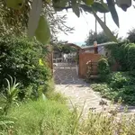Cretan Olive Oil Farm