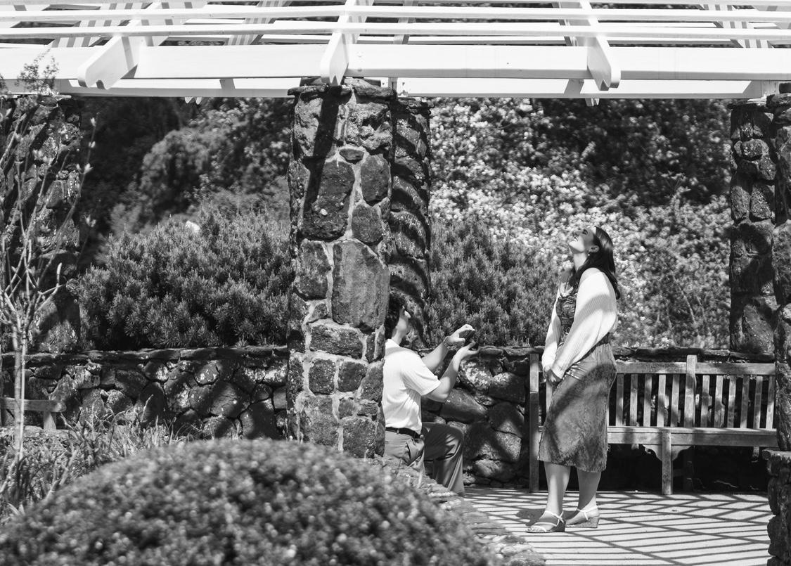 The Wedding Website of Olivia Rose Cianciulli and Austin Joseph Reilly