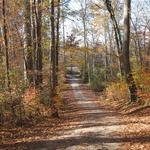 Al Buehler Trail