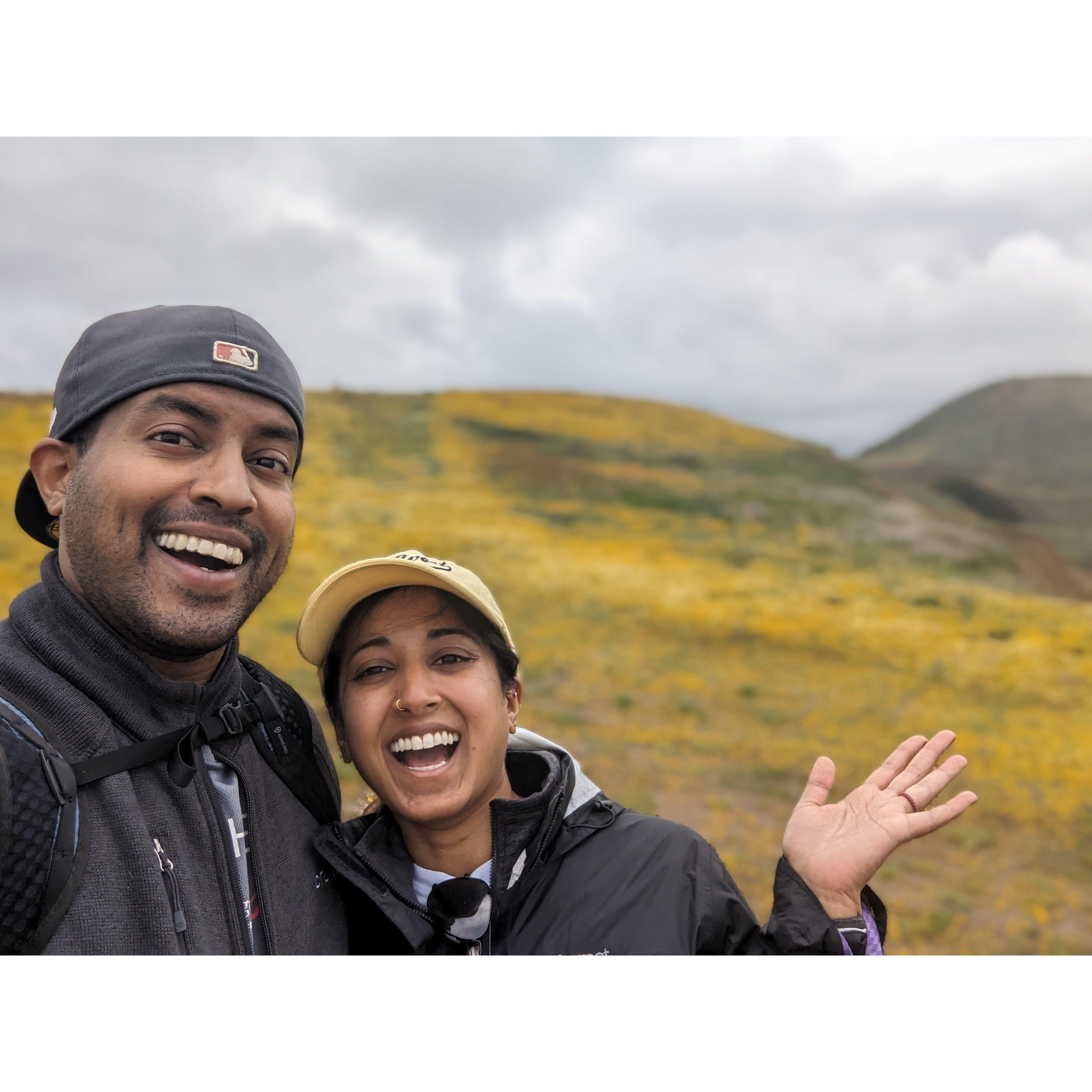 We were lucky enough to experience the rare "superbloom" in the Bay Area this year!