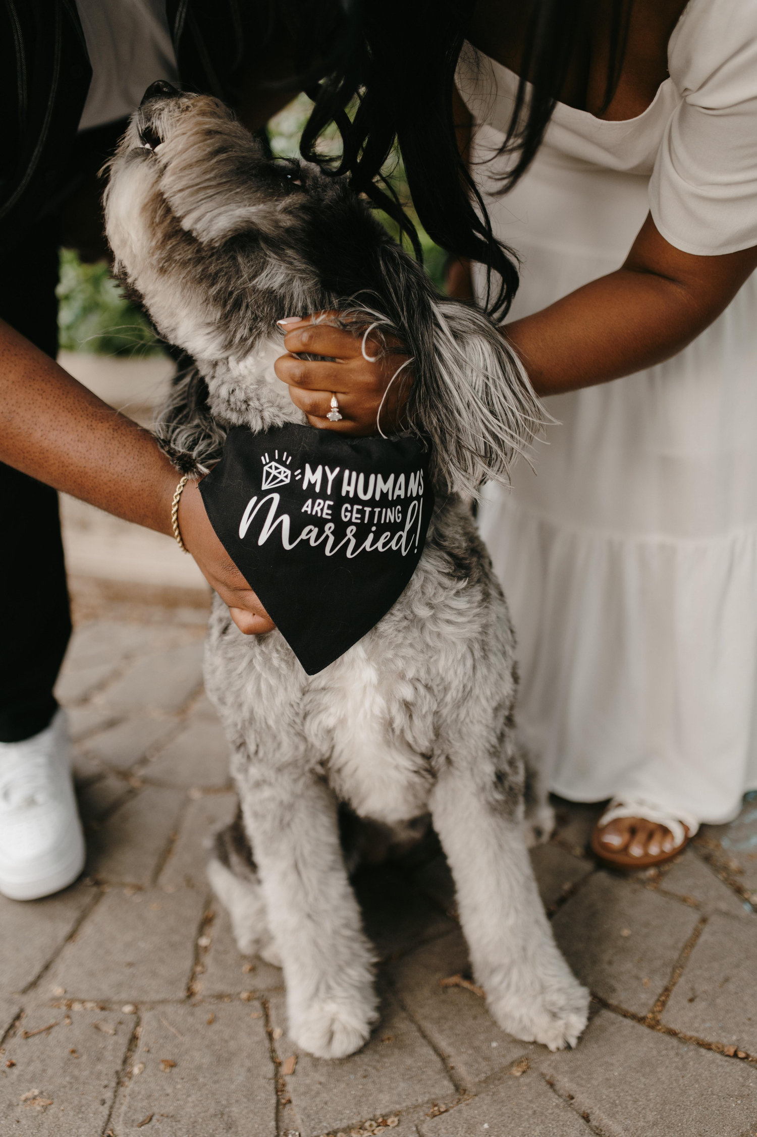 The Wedding Website of Daysjia S. Black and Marcedius A. Jameson