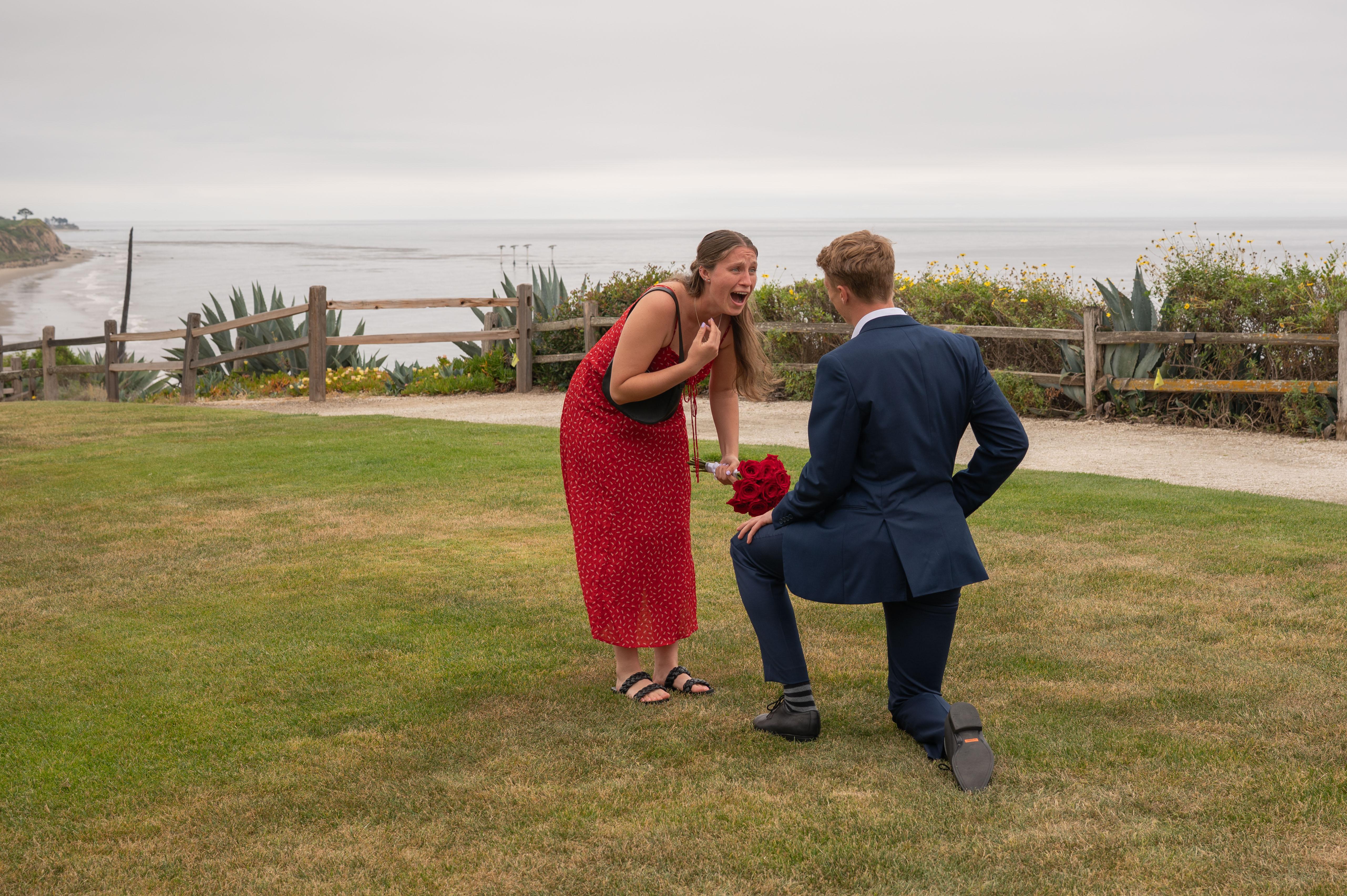 The Wedding Website of Katia Wilson and Harry Watt