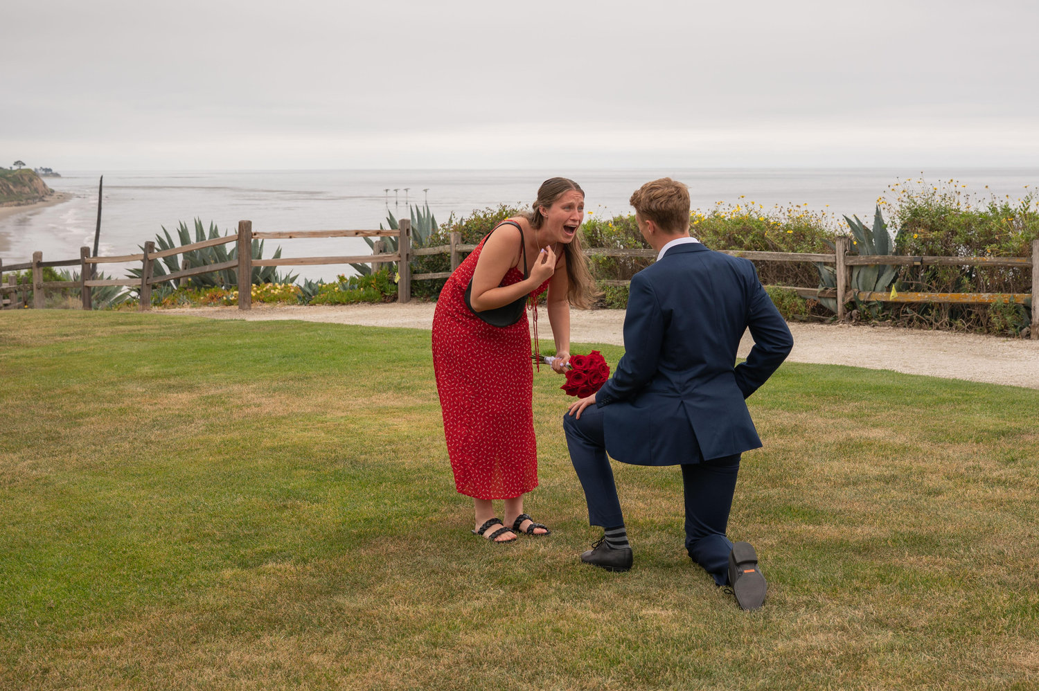 The Wedding Website of Katia Wilson and Harry Watt