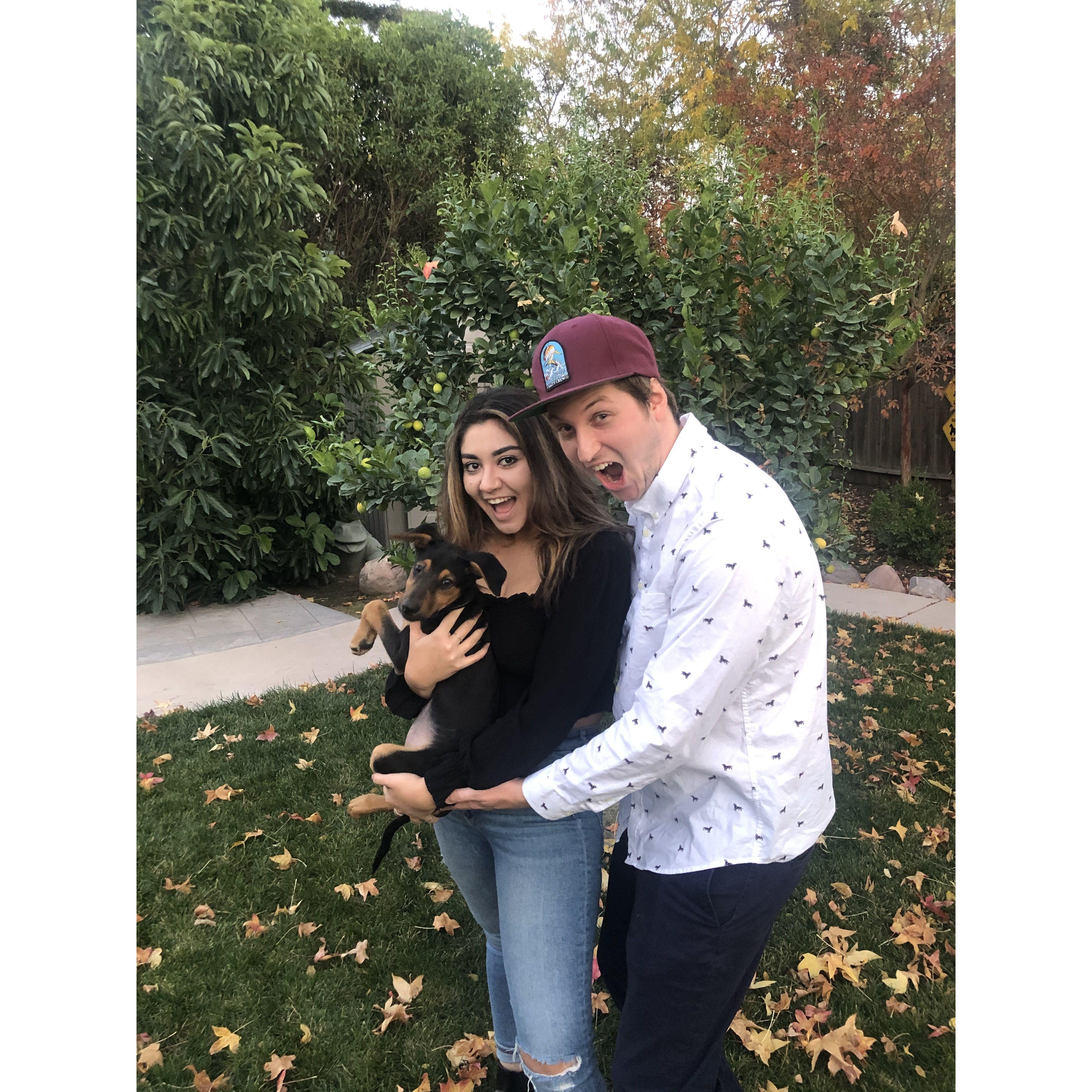 We rescued Poppy in fall of 2020 and she quickly became our best pal