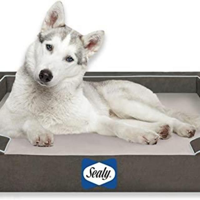 Sealy Lux Pet Dog Bed