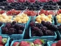 Vancouver Farmers Market