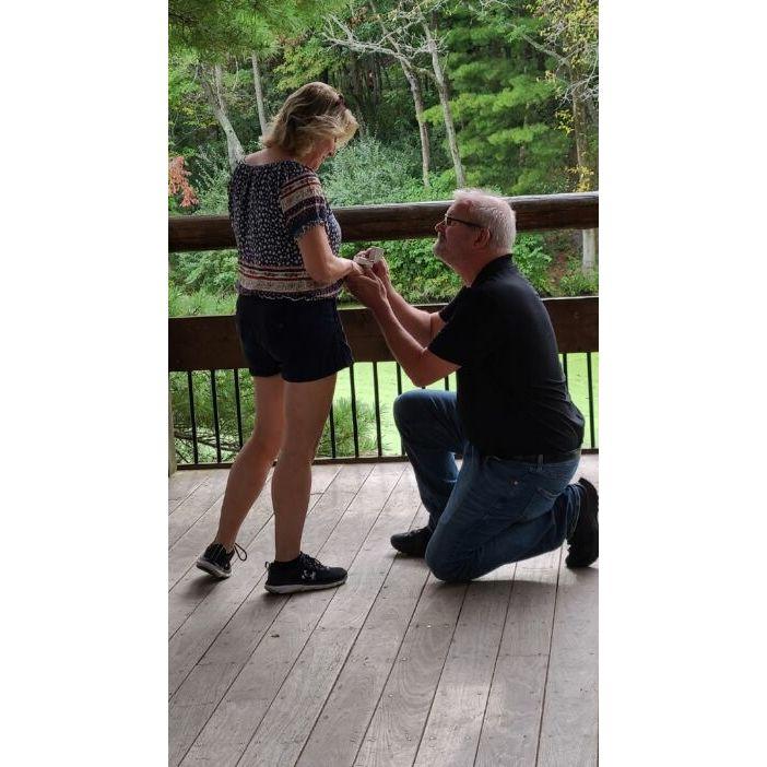 The proposal...