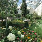 FOELLINGER-FREIMANN BOTANICAL CONSERVATORY