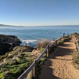 Torrey Pines State Natural Reserve