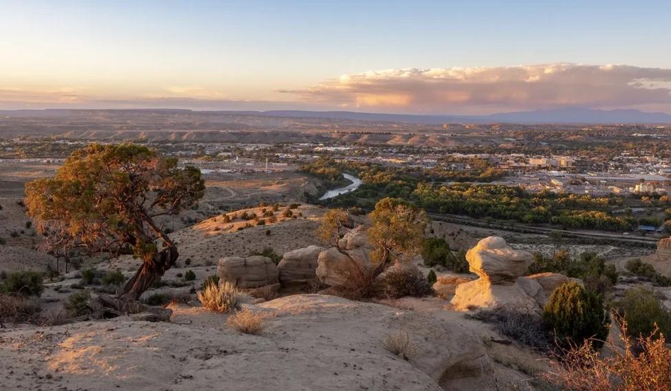 The Wedding Website of Rebekah Gamboa and Derek Sharpe