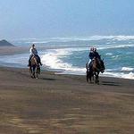 Ross Ranch Horseback rides