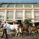 Brasserie Palmenhaus Wien