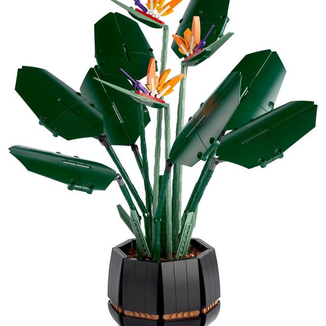 LEGO Botanical Collection - Bird of Paradise 10289