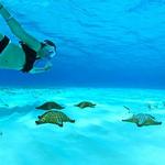 Cozumel