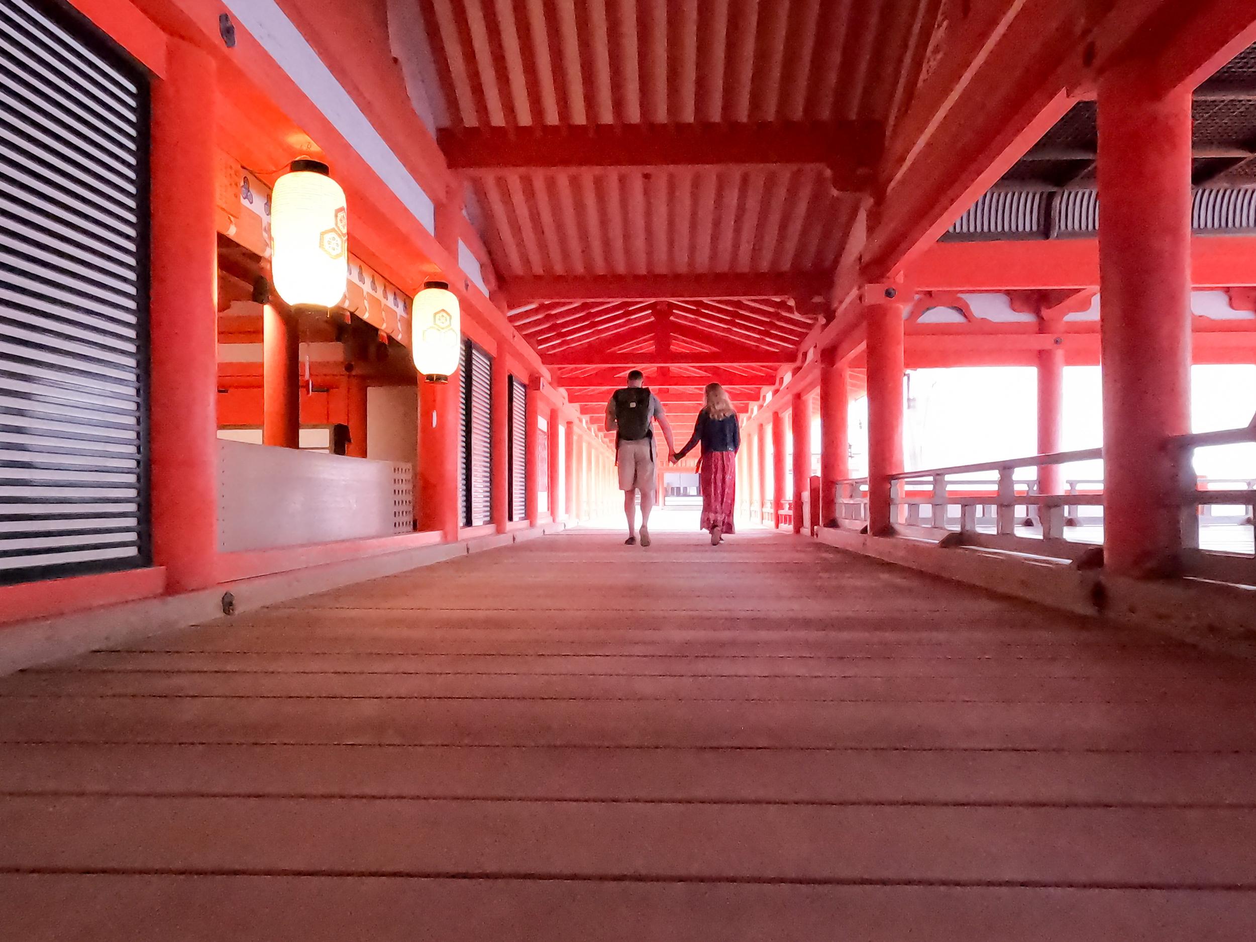 The Wedding Website of Sophia Novak and Elisha Dawson