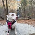 High Falls