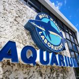 Mote SEA Aquarium