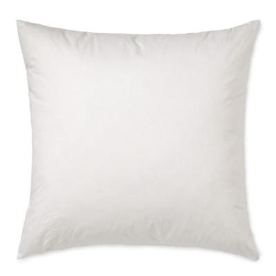 Williams Sonoma Decorative Pillow Insert, 22" X 22"