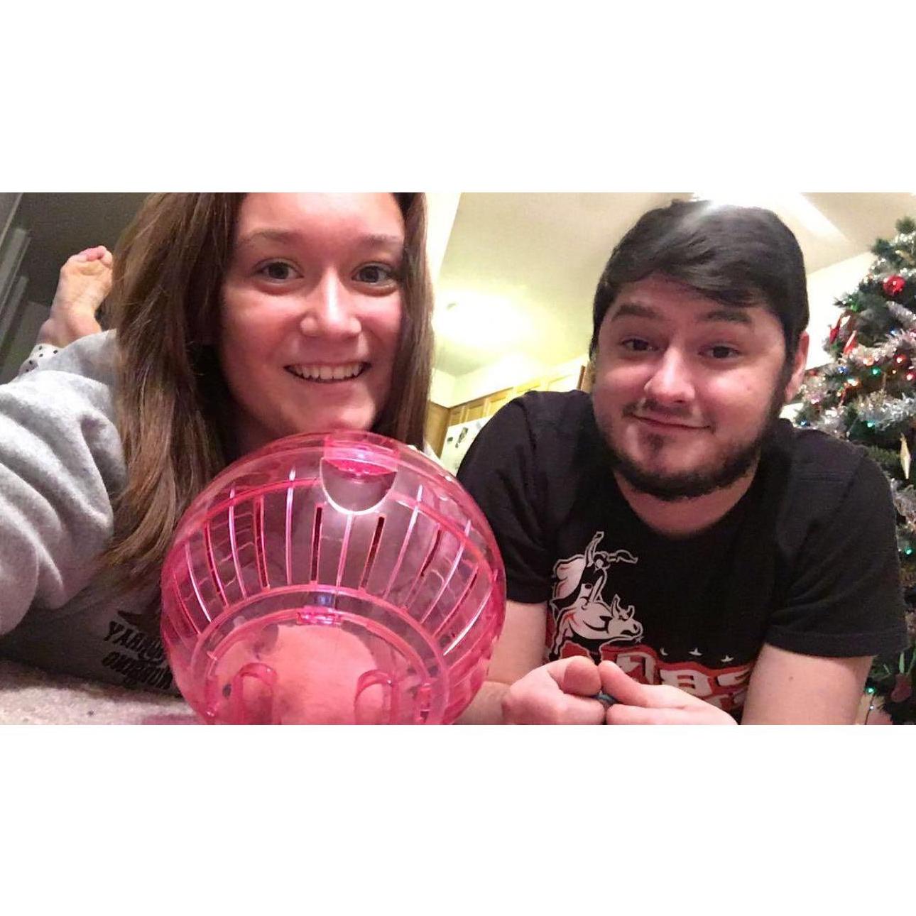 Our first pet, Regina George the Hamster