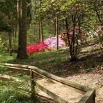 University of Tennessee Arboretum, Oak Ridge