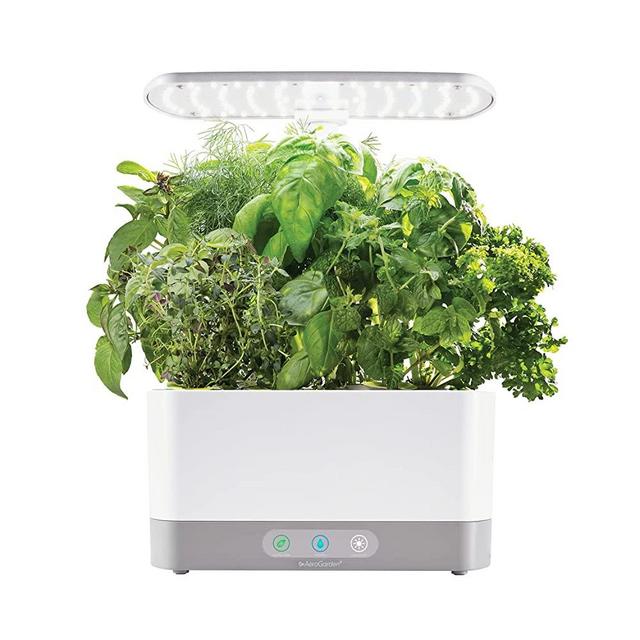 AeroGarden Harvest XL with Gourmet Herbs Seed Pod Kit - Hydroponic Indoor Garden with LED Grow Light, White