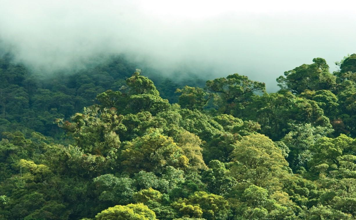 6c93ae8f-a9ad-4214-8122-1ceb9f9566d1