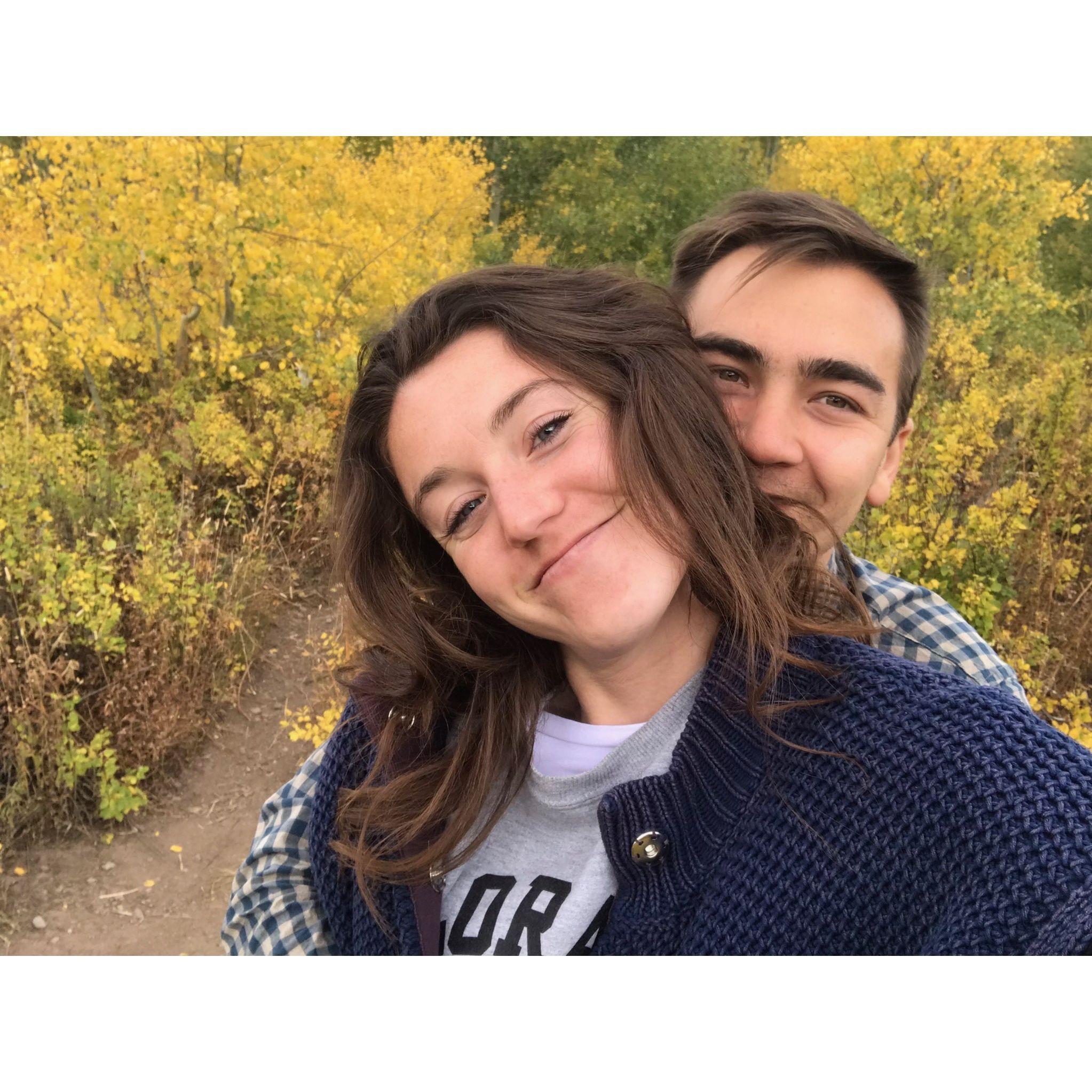 Yearly roadtrip to see the Aspens