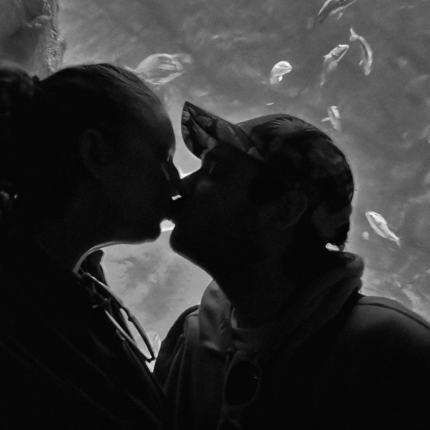 Long Beach Aquarium