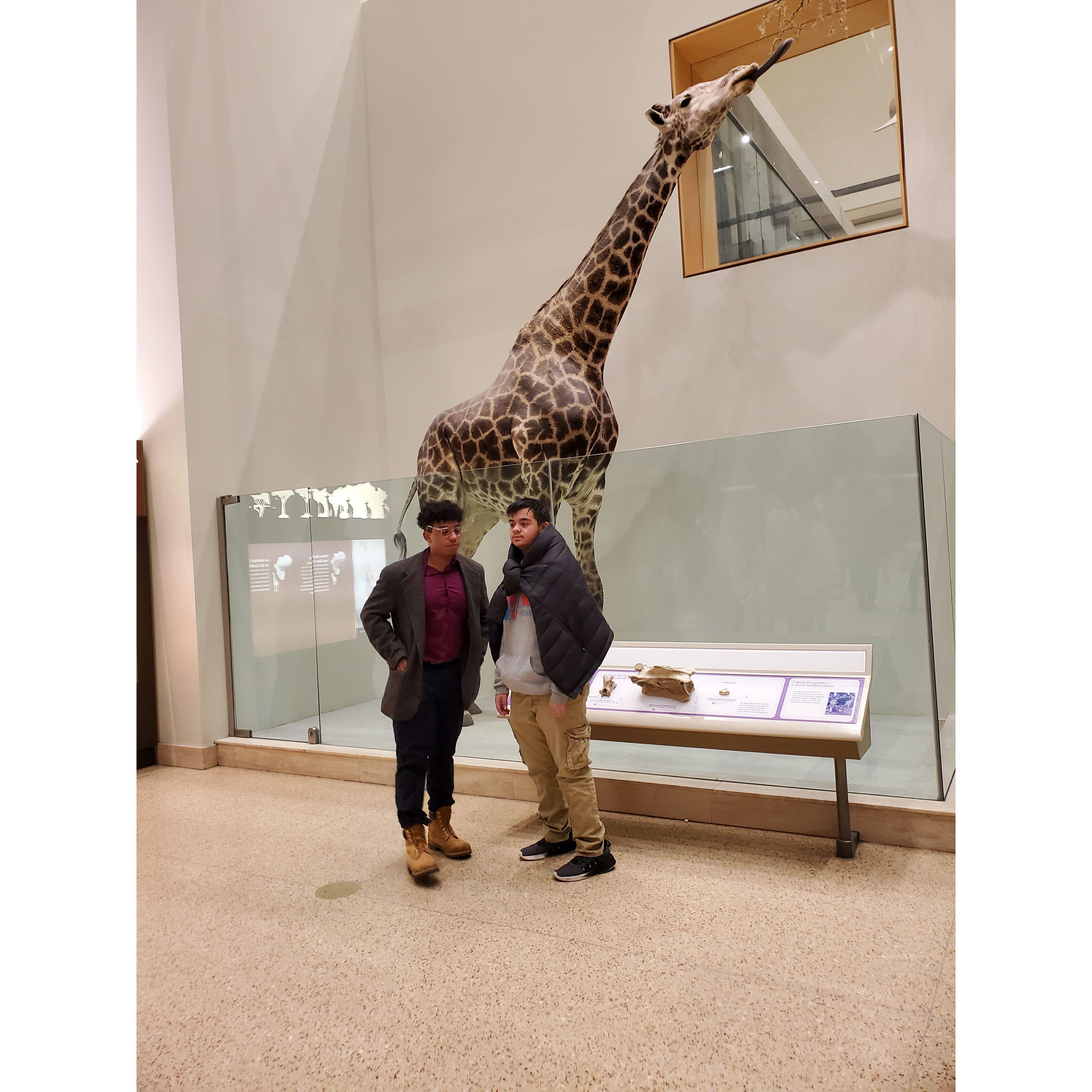 Natural History Museum in DC