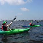 Kayak with Manatees and Dolphins! (Gulf Coast Kayak)