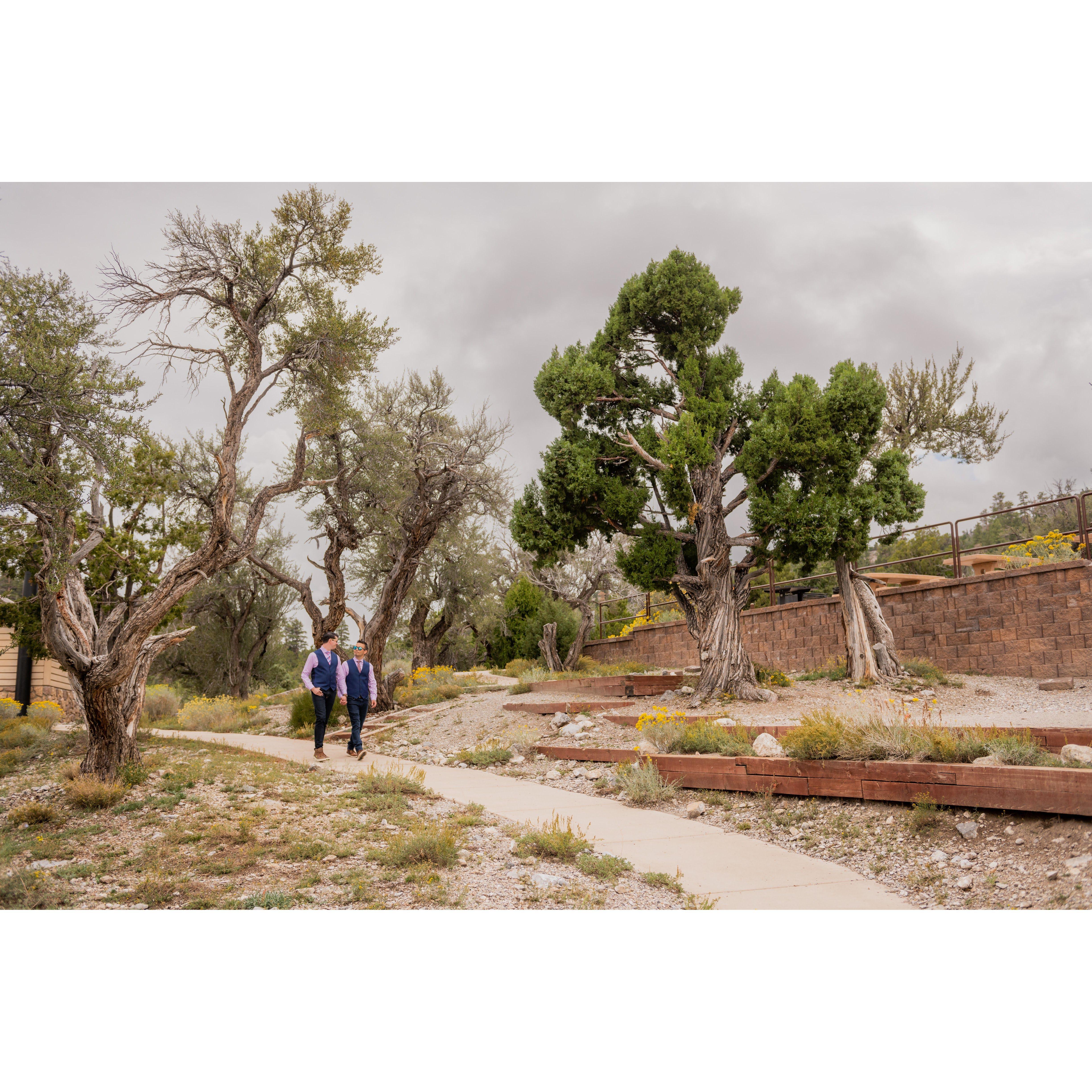 David and Sean walking down the aisle among the old trees. 