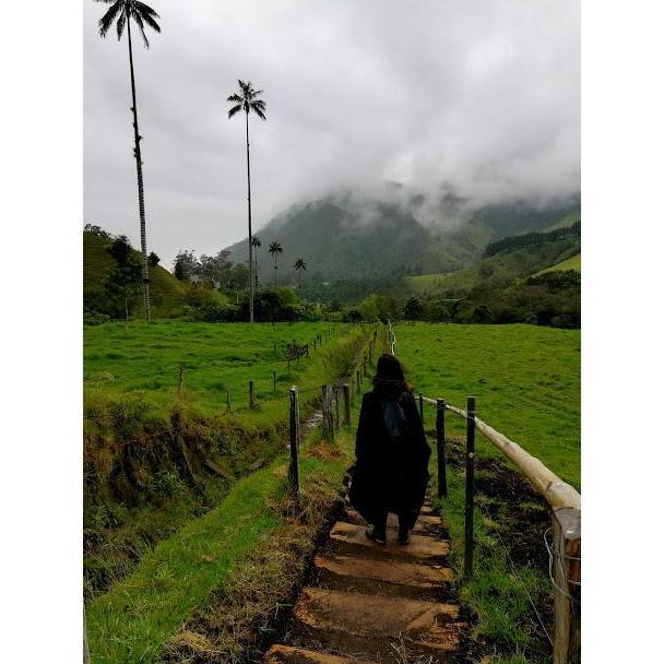 Cocora Valley in Salento, Colombia