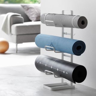 Tower Fitness Equipment Storage Rack