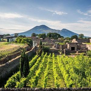 Pompeii Ruins Tour with Vesuvian Wineries