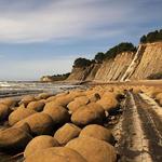 Bowling Ball Beach & Schooner Gulch State Beach