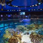 New England Aquarium