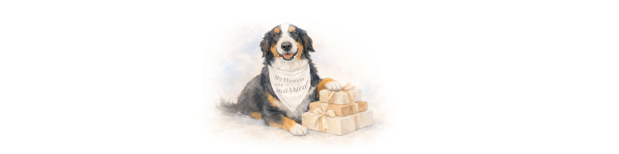 6ca3017e-4b45-46e1-88ac-a5d5c985140b