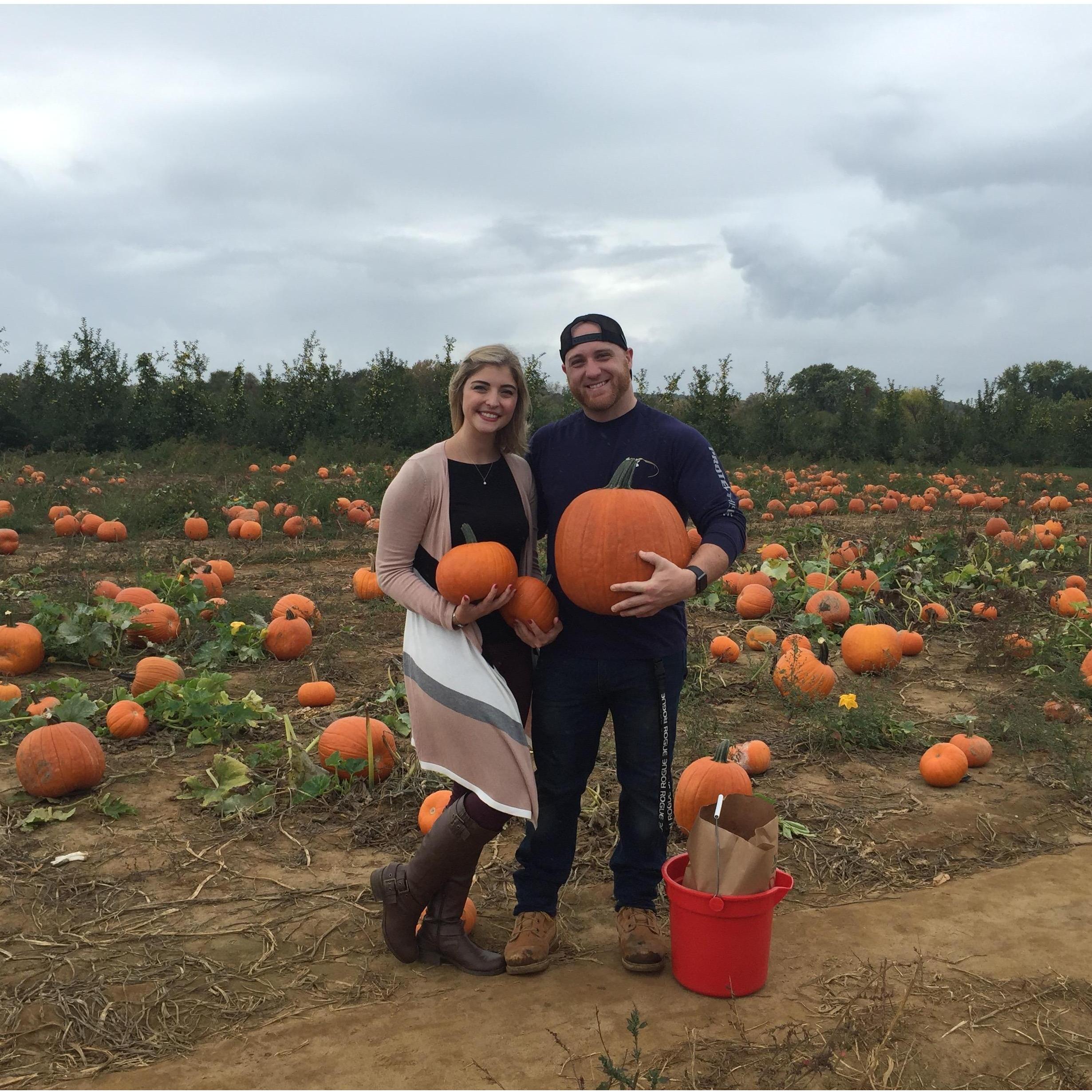 The day I accidentally lost Stevyn's pumpkin on route 9