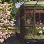 New Orleans Streetcar
