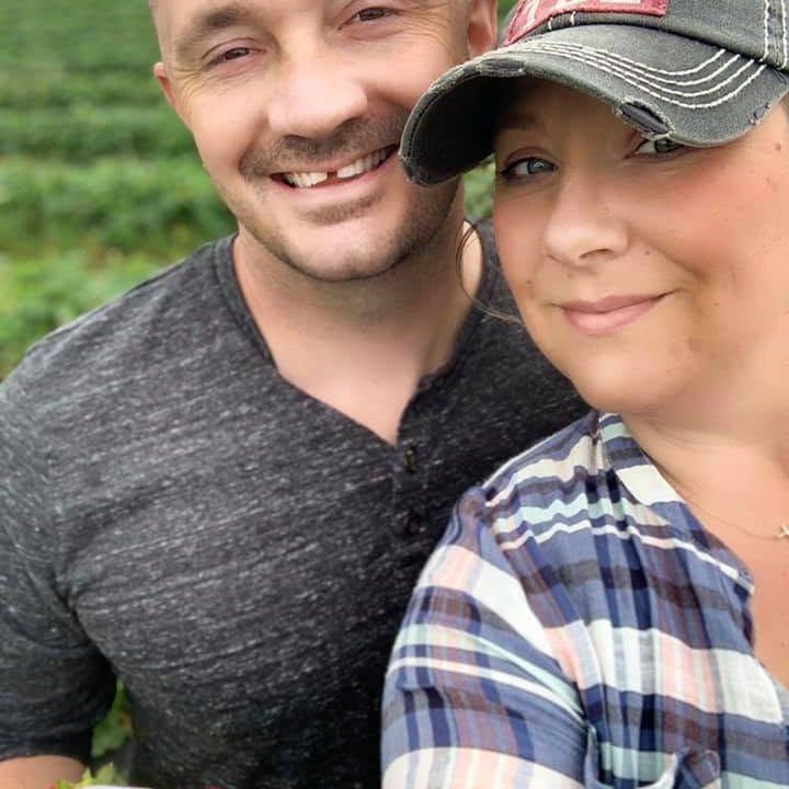 Strawberry picking at the local farms in Pungo, VA